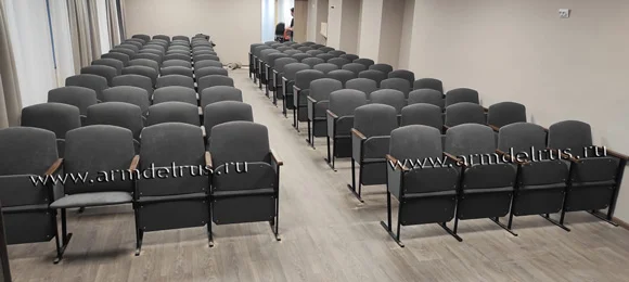 Театральный зал с креслами ООО Дельрус
